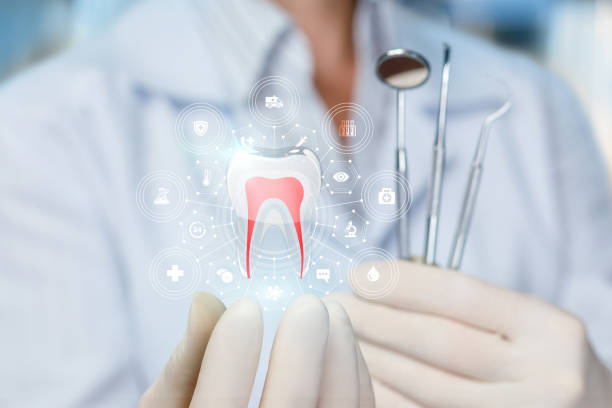 Best Dental Exams and Cleanings  in Fayetteville, WV